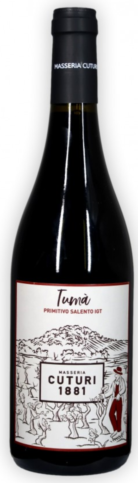 Tumà Primitivo Salento IGT